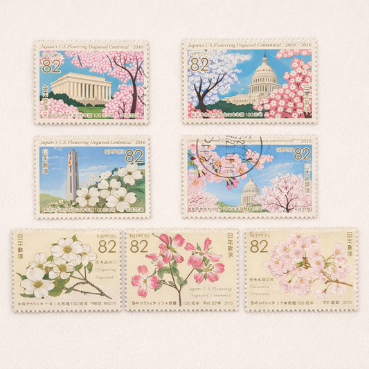 Simba's Washington DC Cherry Blossom Adventure Box